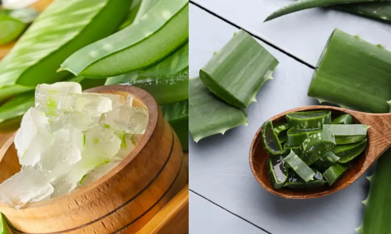 aloevera-2-li-1